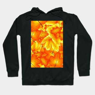 Fall leaves Hoodie